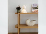 Monkey First Light, Mr Maria – Bild 2