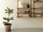Boris Star Light Lampe, Mr Maria – Bild 8