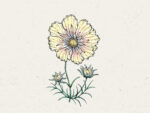 Kosmee ‚Xanthos′