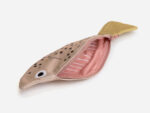 Redfish Täschchen – Bild 3