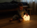 Elephant First Light, Mr Maria – Bild 2