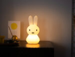 MIFFY Shines, Mr Maria