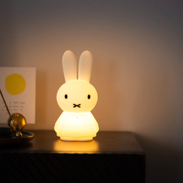 MIFFY Shines, Mr Maria