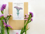 Strandflieder (Limonium sinuatum QIS Pastel)