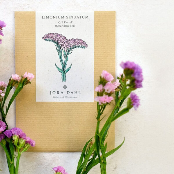 Strandflieder (Limonium sinuatum QIS Pastel)