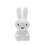 MIFFY First Light, Mr Maria