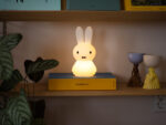 MIFFY Shines, Mr Maria – Bild 9