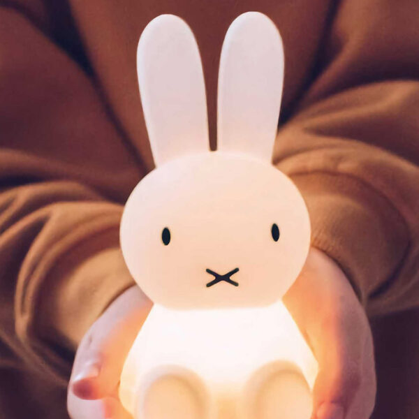 MIFFY Bundle of Light, Mr Maria