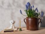 SNUFFY Bundle of Light – Bild 2