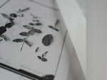 OVO Things Mentha Spp. (Mint) - Silverprint – Bild 5