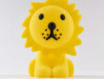 LION First Light, Mr Maria – Bild 3