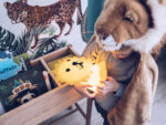 LION First Light, Mr Maria – Bild 5