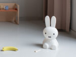 MIFFY First Light, Mr Maria – Bild 5