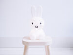 MIFFY First Light, Mr Maria – Bild 3