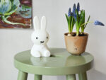 MIFFY Bundle of Light, Mr Maria – Bild 8