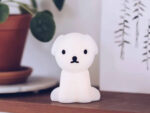 SNUFFY Bundle of Light – Bild 5