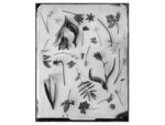 OVO Things Spring Garden April - Silverprint – Bild 2