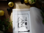 OVO Things Mentha Spp. (Mint) - Silverprint