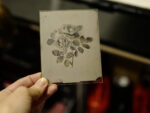 OVO Things Paeonia - Silverprint – Bild 7