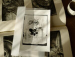 OVO Things Roald Dahl Rose - Silverprint – Bild 5