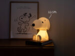 Snoopy, First Light, Nachtlicht, Mr Maria – Bild 9