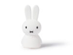 MIFFY Shines, Mr Maria – Bild 3