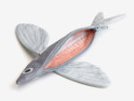 Flying fish Etui – Bild 2