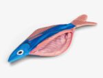 Seabass Täschchen – Bild 3