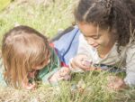 Baby Nins® 6 Stück, Holzspielzeug – Bild 4