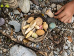 Wonders, Holzspielzeug – Bild 2