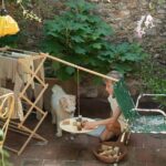 The pendulum, MAGIC OF BALANCE – Bild 10