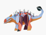 Ankyl Dino – Bild 2