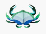 Aquamarine Crab – Bild 2