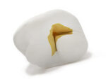 Kuschelkissen Popcorn – Bild 5