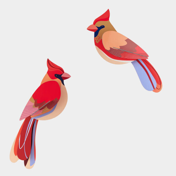 Cardinals