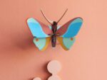 Claudina Butterfly