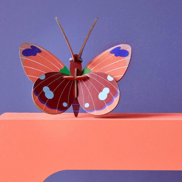 Delias Butterfly