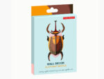 Elephant Beetle – Bild 5