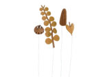 FIELD flowers - small browns