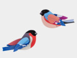 Finches