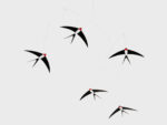 Fliegende Schwalben 5, Mobile – Bild 2