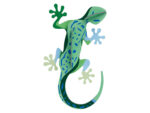 Gecko – Bild 3