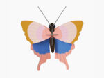 Gold Rim Butterfly – Bild 2