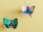 Gold Rim Butterfly – Bild 4