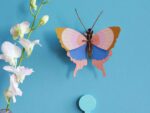 Gold Rim Butterfly