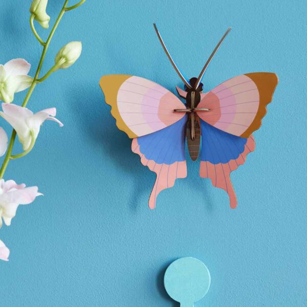 Gold Rim Butterfly