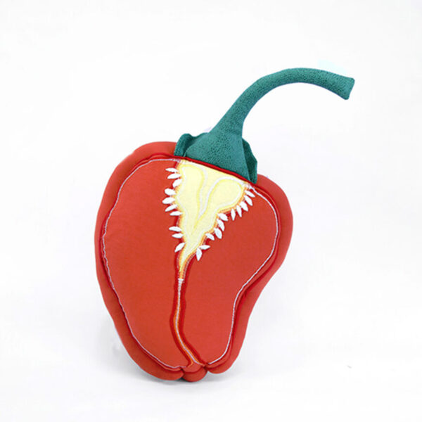 Habanero Chili Kissen, orange