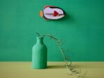 King Angelfish – Bild 2