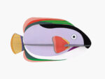 King Angelfish