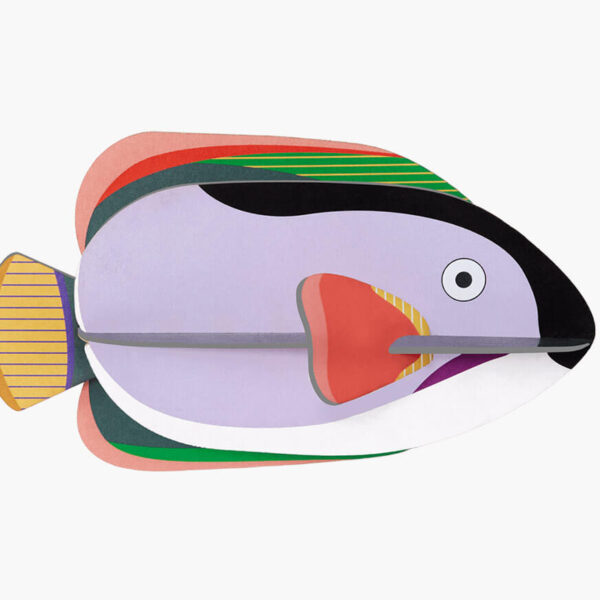 King Angelfish